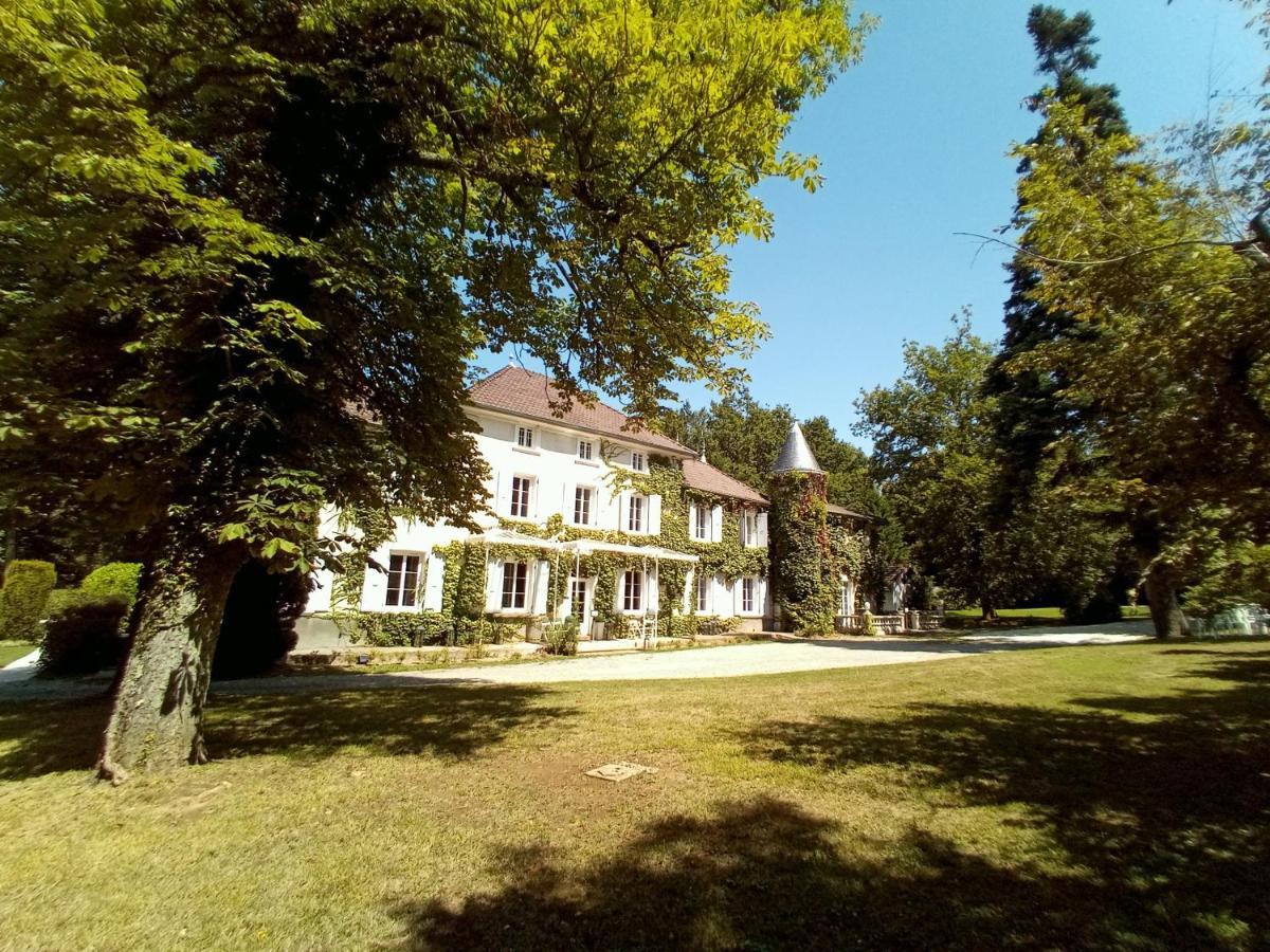 Chateau Des Ayes - Chambres & Suites Saint-Étienne-de-Saint-Geoirs Exterior foto